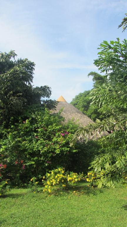 Hotel Colibris San Carlos