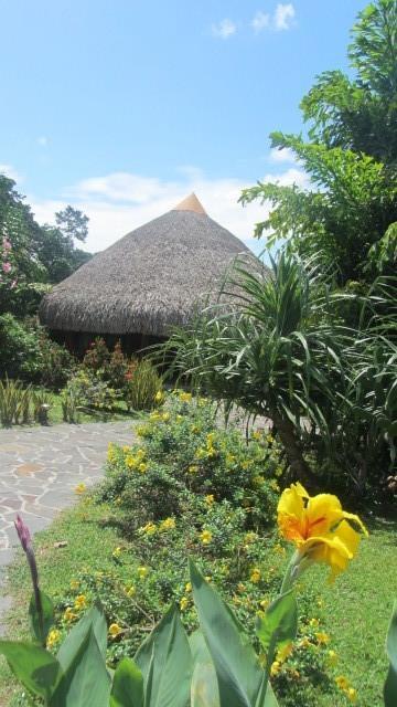 Hotel Colibris
