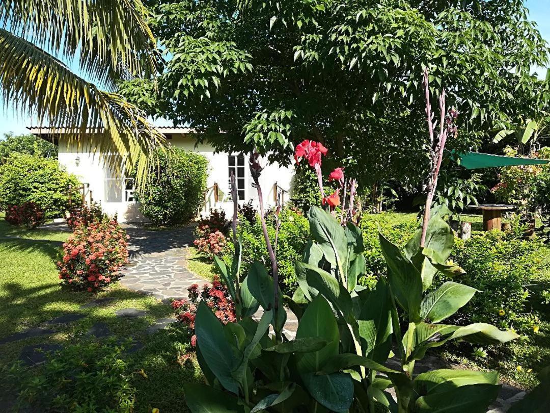 Hotel Colibris 2*
