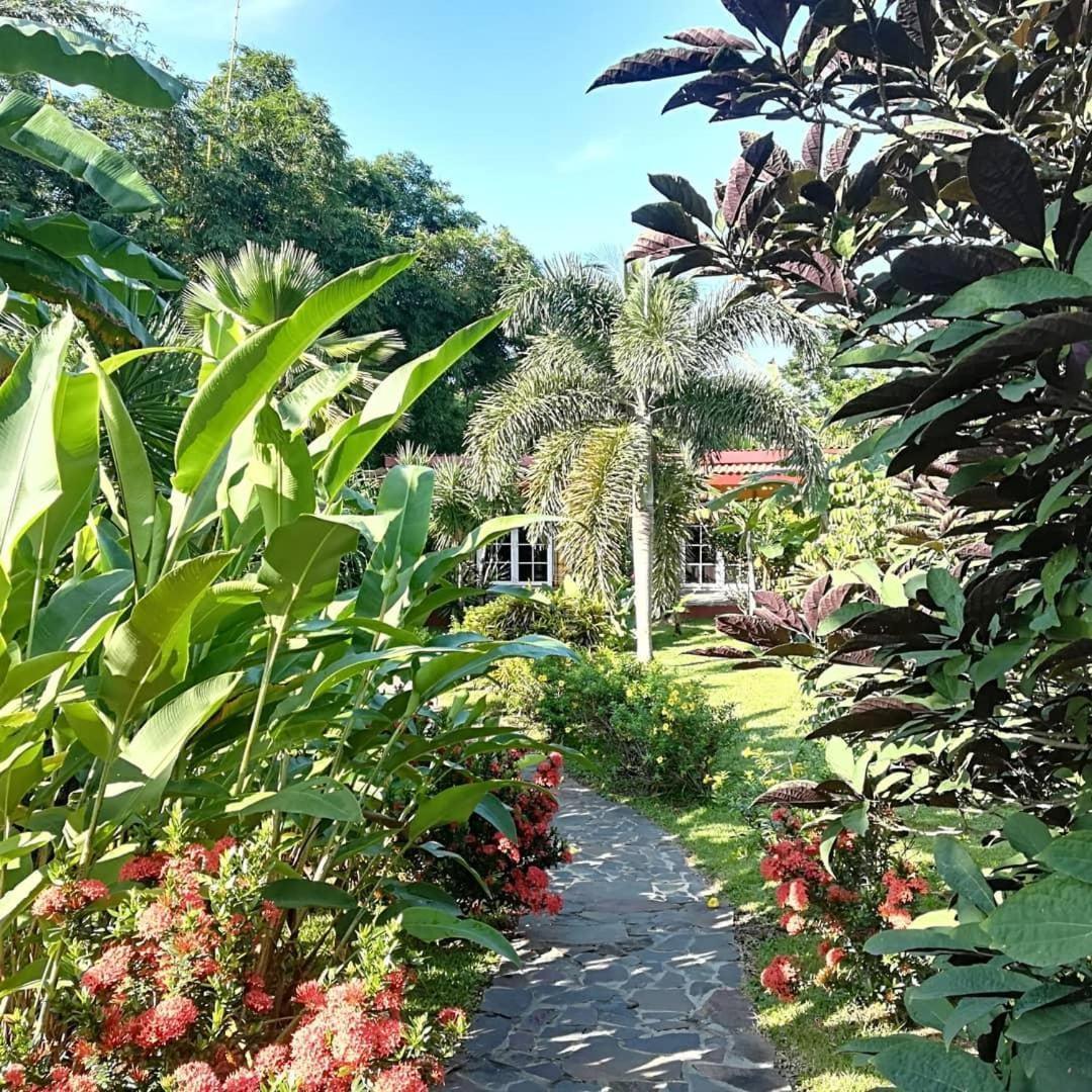 Colibris Hotel San Carlos